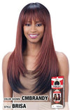 Freetress Equal 100% Hand-Tied Italian Lace Front Wig - Brisa