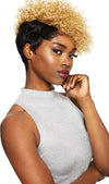 Outre 100% Human Hair Duby Wig - Coily